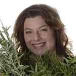 חבקין צמחי מרפא - תמונה