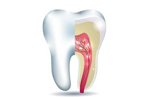 טיפולי שורש בעידן שתלים-תמונה