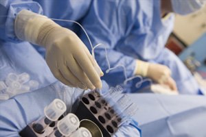 לראשונה: תרומת ביציות בישראל-תמונה