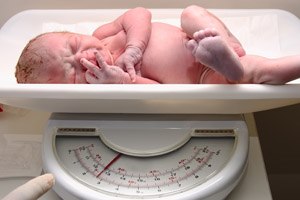 מצג עכוז - תמונת אווירה