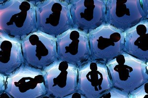 בדיקת DNA בדם האם: נא להכיר-תמונה