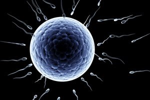 עלייה בטיפולי הפריה חוץ-גופית-תמונה