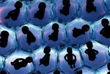 פוענח המנגנון האחראי להרס הביציות ולעקרות (צילום: אילוסטרציה)