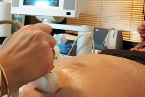 סקירת מערכות (אילוסטרציה צילום shutterstock)