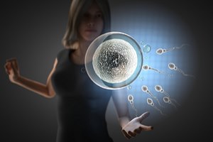 בעיות פריון? יוצרים ביציות-תמונה