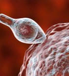 הפריה, טיפולי פוריות