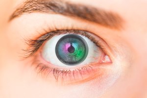 צילום:שאטרסטוק