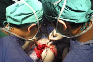 ארבעה זכו באיבריה של רות-תמונה