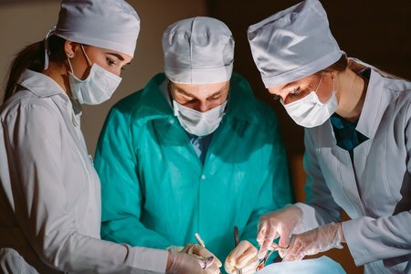 השתלות איברים: מבט לעתיד