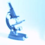 קונדילומה  (יבלות של אברי המין)  ופורום מחלות המועברות במגע מיני-תמונה