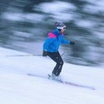 מדור טיפים מס' 44-תמונה