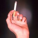 מריחואנה: כל מה שרצית לדעת ולא חוקי לשאול-תמונה