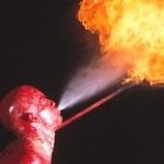 צרוב בעור-תמונה