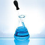 סמבוכל ושפעת העופות - מחקר ומידע-תמונה