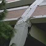 החיים בקו האש-תמונה