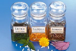 צמחי מרפא: האמא של הרפואות-תמונה