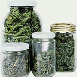 ייזוע - תמונת אווירה