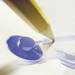 כותבים מהבטן-תמונה