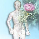 גדילן וקוץ בו-תמונה