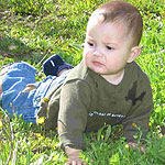 חיים חדשים-תמונה