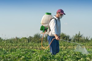קדחת חום: עקיצת יתוש הטיגריס-תמונה