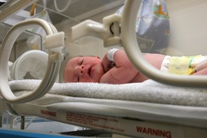 פגים בישראל (אילוסטרציה)