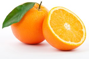 מחלת הצפדינה אובחנה ברמב"ם-תמונה