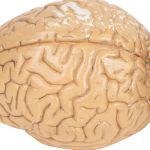 ננו-קפסולות לריפוי-תמונה