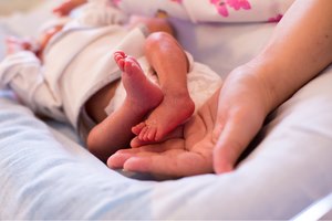 צינור הנשמה - תמונת אווירה