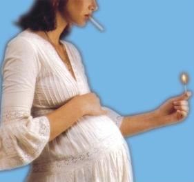 4000 כימיקלים, ותינוק אחד-תמונה