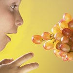 הוא פשוט רגיש מדי-תמונה