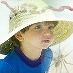 לא מעוקצו - על הכשות, עקיצות ונשיכות-תמונה