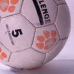 נגח אלון, נגח