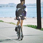 בצידי הדרכים-תמונה