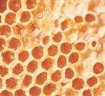 מתוק יום הדבש-תמונה