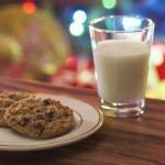 פרוביוטיקה: סיוע בהגנה עצמית-תמונה