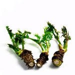 תזונה: 10 המכות הקולינריות בפסח