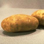 מיתוסים בעולם התזונה