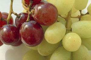 תזונה: קח פרי ותהיה לי בריא-תמונה