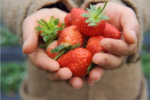 תזונה: אוכל בריא בבית הספר-תמונה