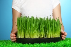 אחרי החגים זה היום-תמונה