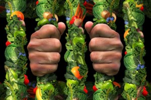 אורתורקסיה נרבוזה - תמונת אווירה