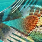 אוהבים להיות בריאים