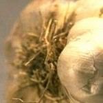 שום דבר-תמונה