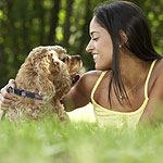 מדור טיפים מס' 6-תמונה