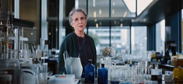 פרופ' תלמה הנדלר