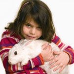 מדור טיפים מס' 19-תמונה