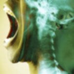 מלחמה והצורך לספר