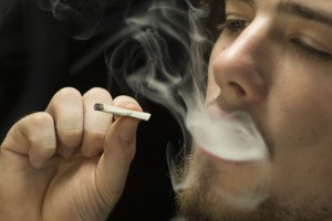 קנאביס לנוער: סיכון למוות-תמונה