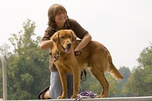 סרטן ריאה, כלב